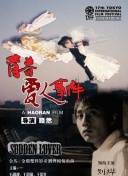 天命剑道2：探索无尽的剑道世界